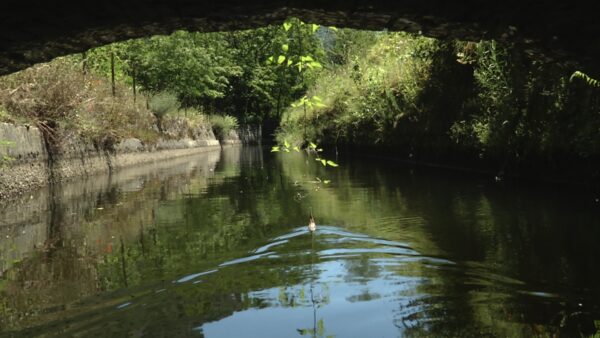 Canal de Bohère. Image du film La vie descend de la montagne, réalisé par Olivier Moulaï pour l'association de Sauvegarde du Canal de Bohère